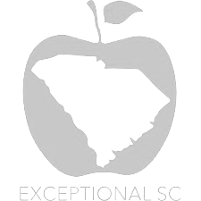 grey_exceptional-needs-logo